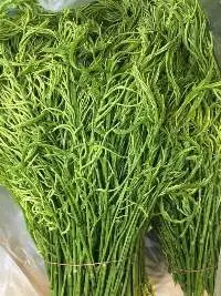 Acacia (Cha-om)