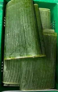 Banana Leaves (Baitong)