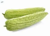 Bitter Melon (Mara)