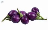 Small Purple Eggplant