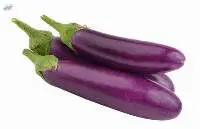 Purple Eggplant