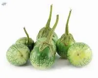 Thai Eggplant (Makhuea)