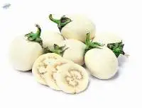 White Eggplant