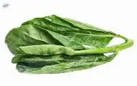 Kale