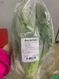 Lettuce
