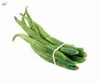 Snake Gourd