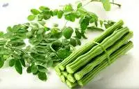Moringa Drumstick (Ma-Room)