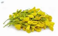 Yellow Sesbania Flowers (Dok Sanoh)