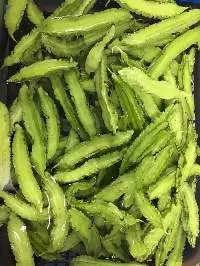 Winged Bean (Tua Plu)