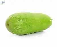 Winter Melon