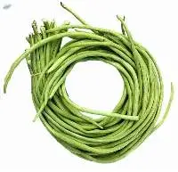 Yardlong Bean