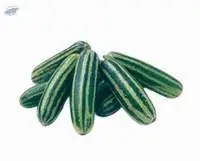 Melon Cucumber Laithai