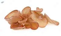 Ear Mushroom (Hed Hoo Noo)