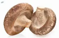 Mushroom Shiitake (Hedhom)