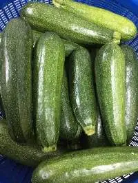 Baby Green Zucchini (Buab)