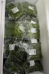 Frozen Kaffir Lime Leaves (Bai-Ma-Grood)