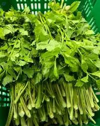 Thai Celery (Tong-O)