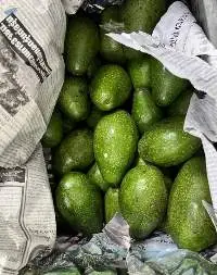 Thai Avocado