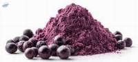 Acai Berry Extract Powder