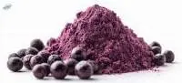 Acai Berry Extract Powder