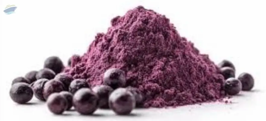Acai Berry Extract Powder