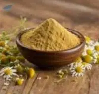 Chamomile Extract Powder