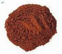Pine Bark Extract Powder
