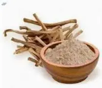 Shatavari Extract