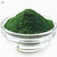 Spirulina Powder