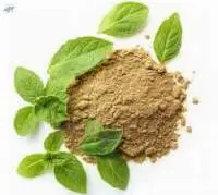 Tulsi (Holy Basil) Extract Powder