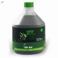 Rhyzone Green