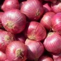 Fresh Red Onion
