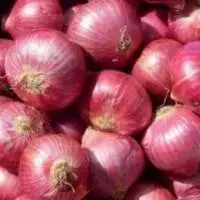 Fresh Red Onion