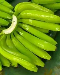 Fresh Banana