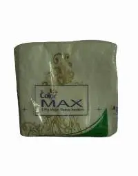 33 x 33 2 ply napkin