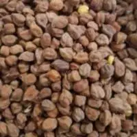 Chickpeas