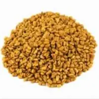 Fenugreek Seeds