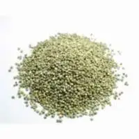 Green Millet (Bajra)