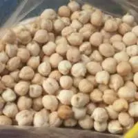 Kabuli Chickpeas