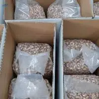 Salted Cashew Nuts Faminuts