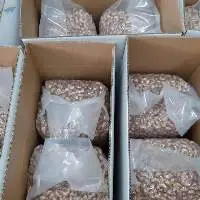 Salted Cashew Nuts Faminuts