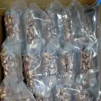 Salted Cashew Nuts Faminuts
