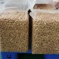 Salted Cashew Nuts Faminuts