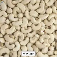 Cashew Nuts Kernel Ww210
