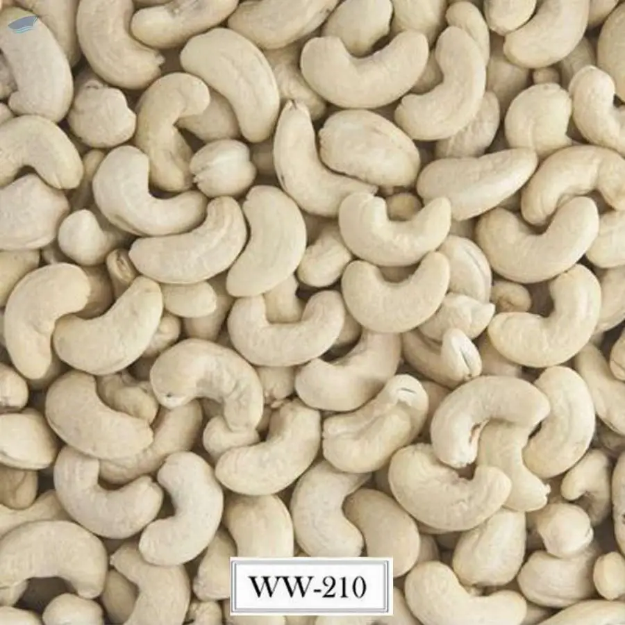 Cashew Nuts Kernel Ww210