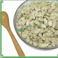 Broken Cashew Nuts SP