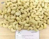 Ww240 Cashew Nut