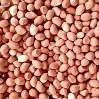 Groundnuts