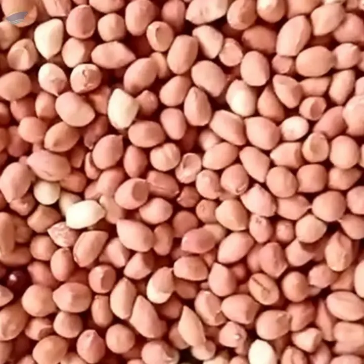 Groundnuts