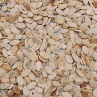Watermelon Seeds